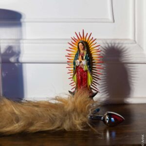 Vénus à la Fourrure